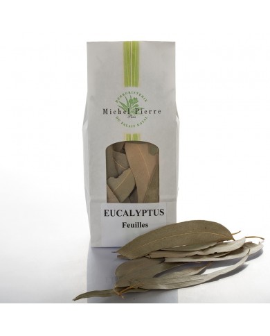 Eucalyptus - Feuilles en vrac Eucalyptus - Feuilles en vrac