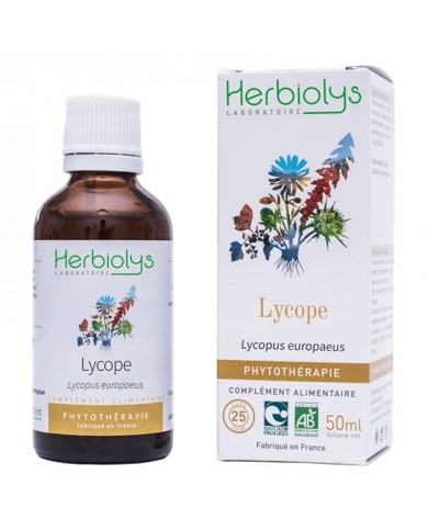 Lycope bourgeons en liquide bio Herbiolys Lycope bourgeons en liquide bio Herbiolys