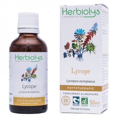 Lycope bourgeons en liquide bio Herbiolys Lycope bourgeons en liquide bio Herbiolys