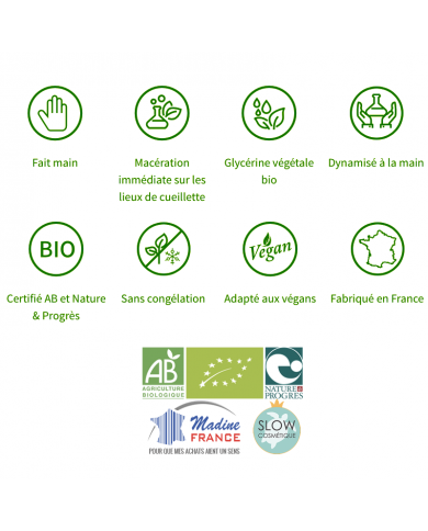 Sorbier bourgeons en liquide Bio Sorbier bourgeons en liquide Bio