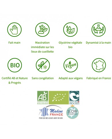 Framboisier bourgeons en liquide sans alcool Bio Framboisier bourgeons en liquide sans alcool Bio