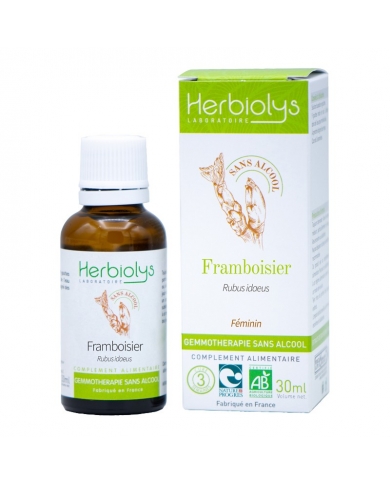 Framboisier bourgeons sans alcool en liquide bio