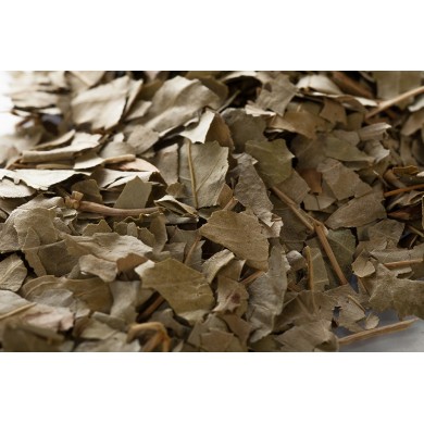 Frêne - Feuilles en vrac