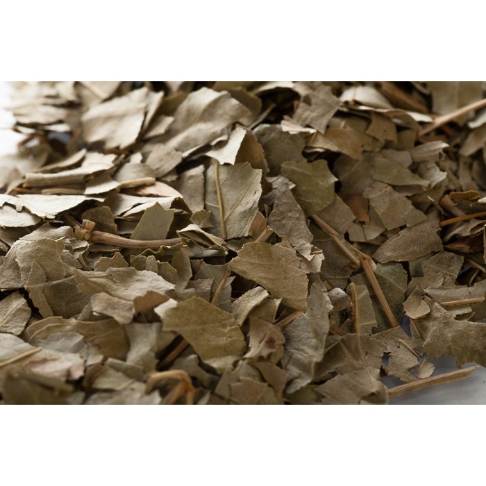 Frêne - Feuilles en vrac