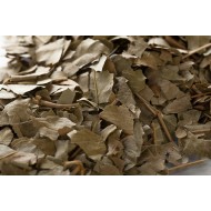 Frêne - Feuilles en vrac