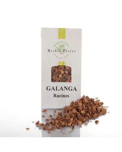 Galanga - Racines en vrac Galanga - Racines en vrac