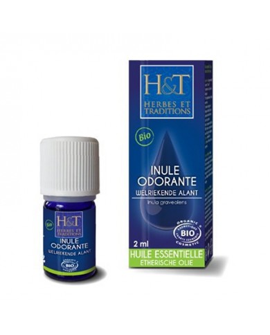 Inule odorante Bio en huile essentielle