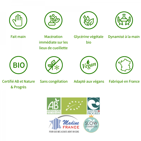 Eglantier bourgeons sans alcool en liquide bio par Herbiolys
