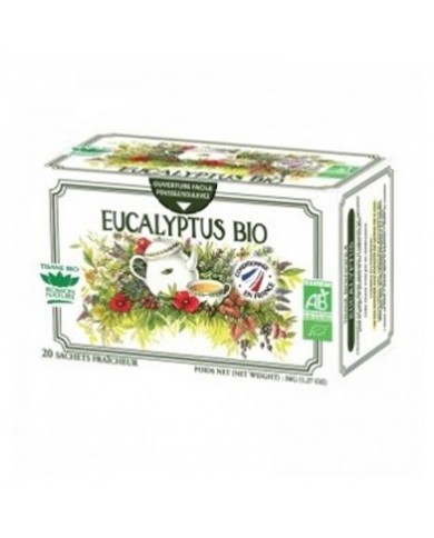 Eucalyptus en infusettes Bio Eucalyptus en infusettes Bio