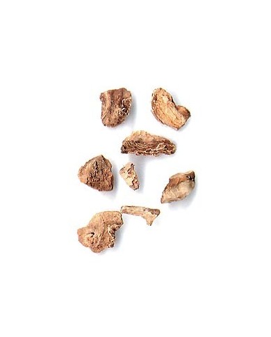 Harpagophytum en vrac Harpagophytum en vrac