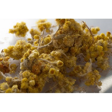 Immortelle (Hélichryse) fleur coupée Immortelle (Hélichryse) fleur coupée