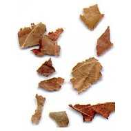 Combretum Kinkéliba - Feuilles en vrac