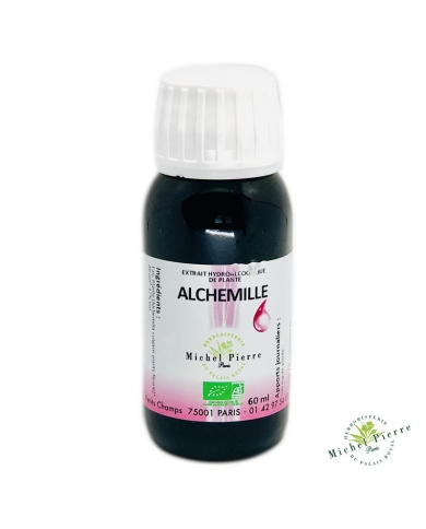 Alchemille vulgaire -...