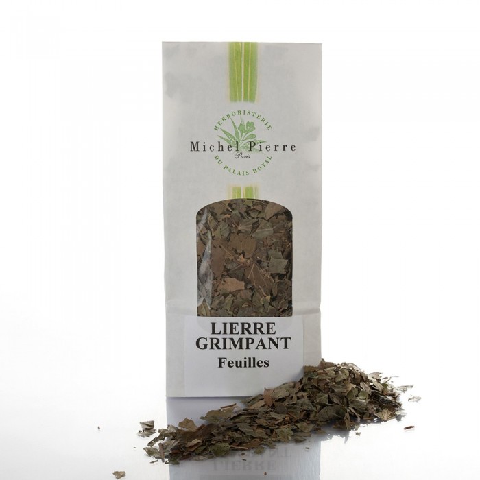 Lierre grimpant - Feuilles en vrac