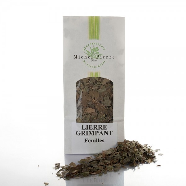 Lierre grimpant - Feuilles en vrac