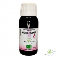 Vigne rouge - Extrait hydroalcoolique BIO Herboristerie du Palais Royal Michel Pierre Paris Vigne rouge - Extrait hydroalcoolique BIO Herboristerie du Palais Royal Michel Pierre Paris