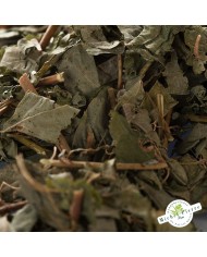 Desmodium - Feuilles en vrac Herboristerie du Palais Royal Paris - Détail de la plante Desmodium - Feuilles en vrac Herboristerie du Palais Royal Paris - Détail de la plante