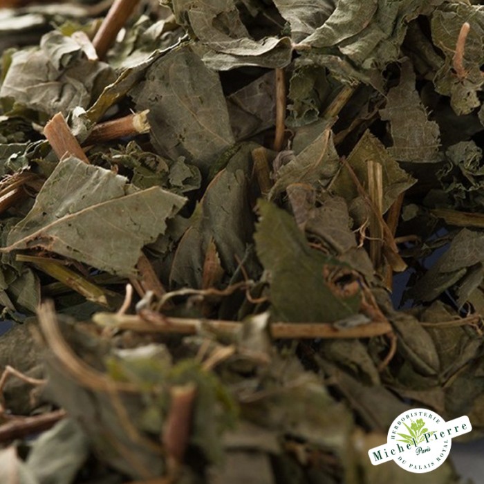 Desmodium - Feuilles en vrac Herboristerie du Palais Royal Paris - Détail de la plante