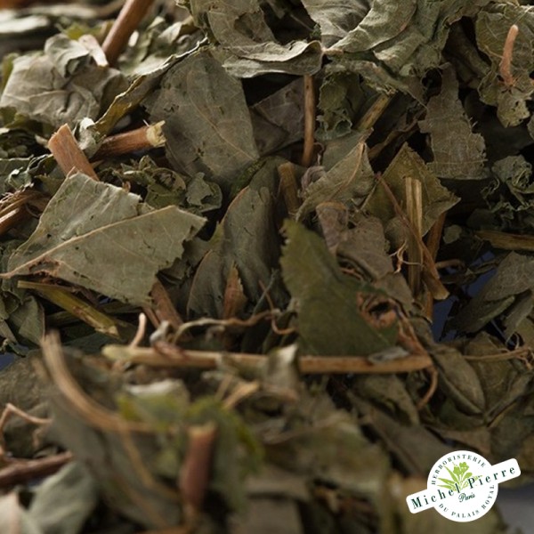 Desmodium - Feuilles en vrac Herboristerie du Palais Royal Paris - Détail de la plante