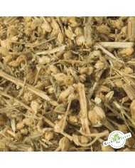 Achillée millefeuille en vrac detail