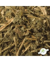 Aigremoine en vrac détail Aigremoine en vrac détail