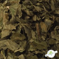 Ail des ours en vrac - Parties aériennes details Ail des ours en vrac - Parties aériennes details