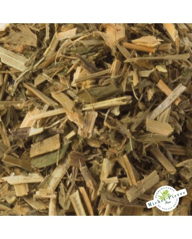 Alfalfa - feuilles en vrac detail Alfalfa - feuilles en vrac detail
