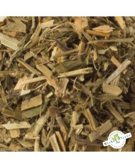 Alfalfa - feuilles en vrac detail