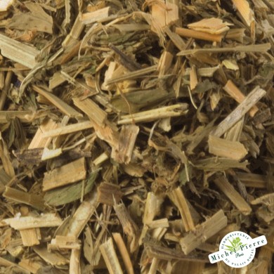 Alfalfa - feuilles en vrac detail Alfalfa - feuilles en vrac detail
