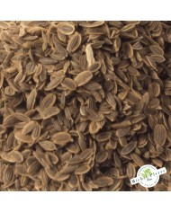 Aneth - Fruit en vrac semences détail