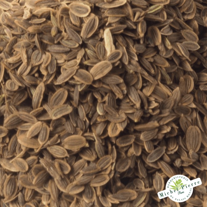 Aneth - Fruit en vrac semences détail