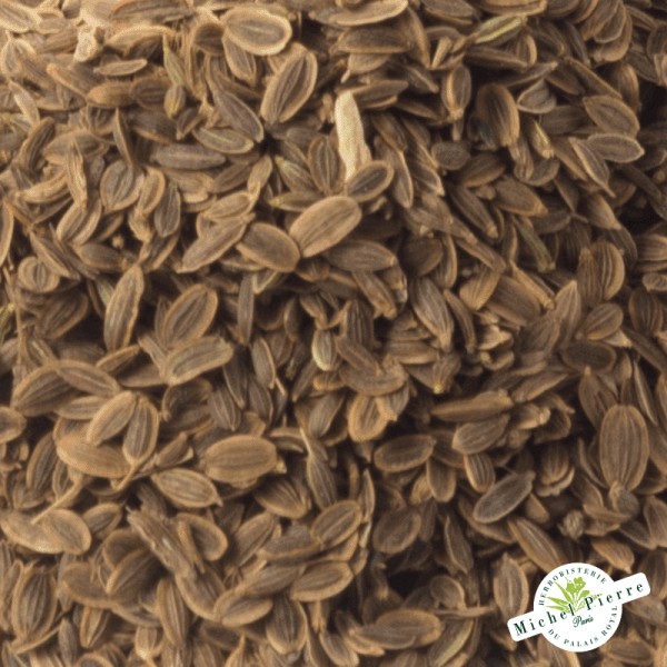 Aneth - Fruit en vrac semences détail