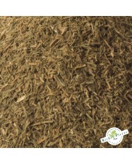 Aneth - Feuilles en vrac - Detail Aneth - Feuilles en vrac - Detail