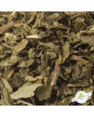 Angélique - Feuilles en vrac - detail