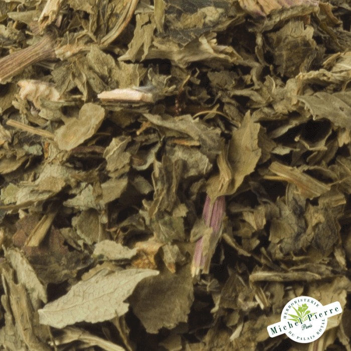 Angélique - Feuilles en vrac - detail