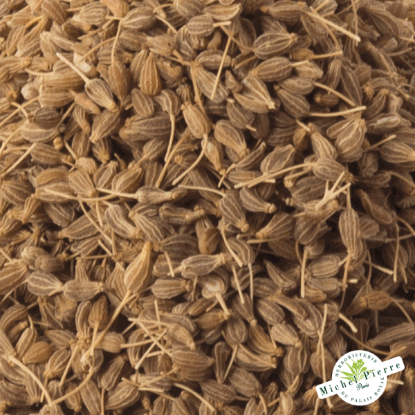 Anis vert - Fruit en vrac detail