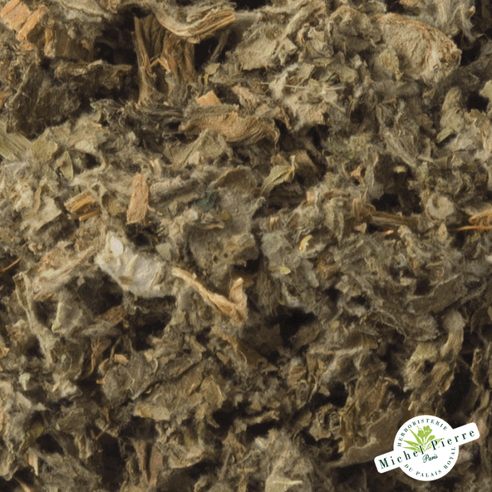 Artichaut - Feuilles en vrac detail