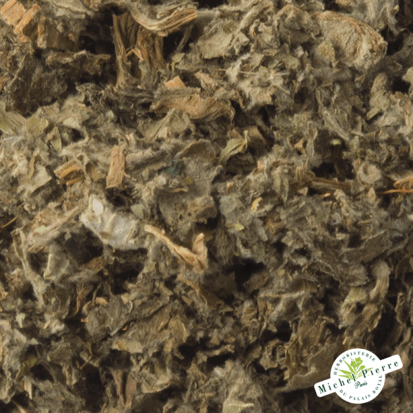 Artichaut - Feuilles en vrac detail