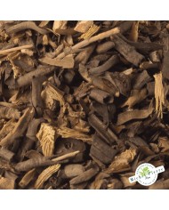 Asperge - Racines en vrac - détail