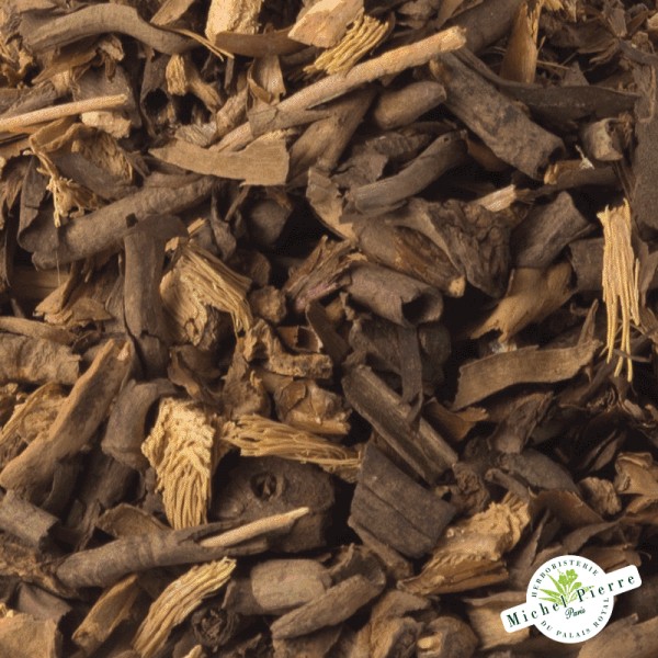 Asperge - Racines en vrac - détail