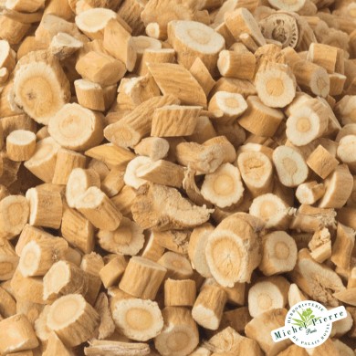 Astragale - racines en vrac détail Astragale - racines en vrac détail