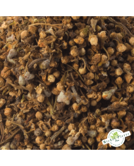 Aubépine - fleurs en vrac