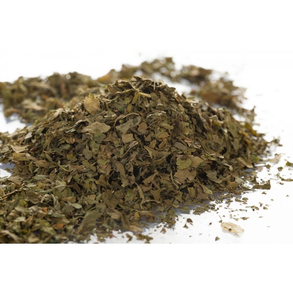 Livèche - Feuilles en vrac