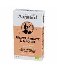 Sirop au Plantain Mélasse et Miel