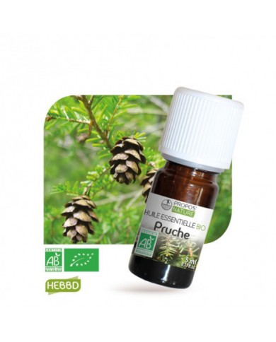 Pruche - Huile essentielle Bio Pruche - Huile essentielle Bio