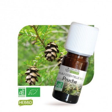 Pruche - Huile essentielle Bio Pruche - Huile essentielle Bio