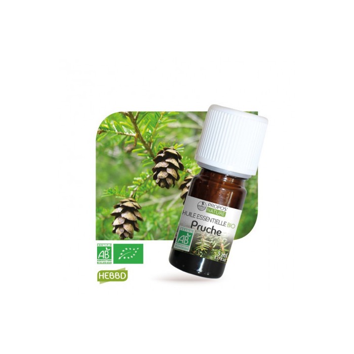 Pruche - Huile essentielle Bio