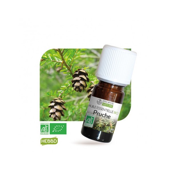 Pruche - Huile essentielle Bio