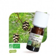 Pruche - Huile essentielle Bio