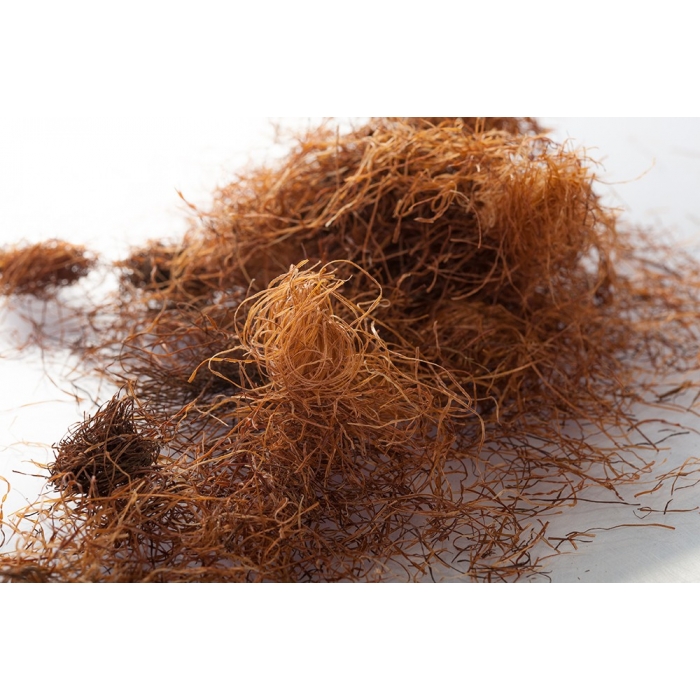 Maïs - Stigmates en vrac